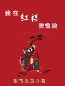 我在红楼做曹贼