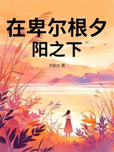 在卑尔根夕阳之下