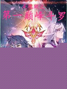 武魂殿之第一巅峰斗罗