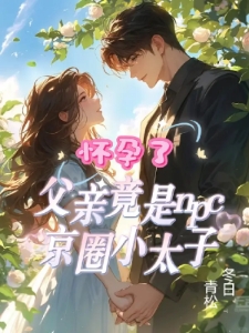 怀孕了父亲竟是npc京圈小太子